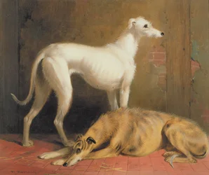 Deerhounds in an Interior